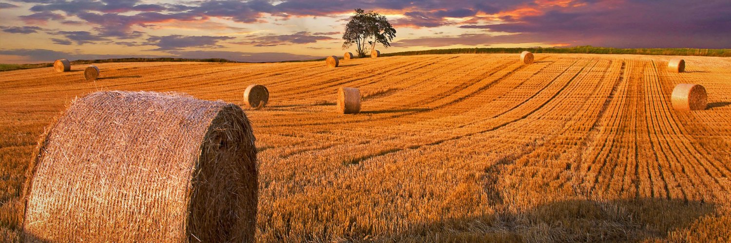 AleMazza's profile banner image