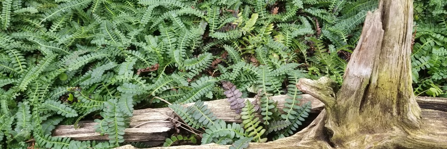 BiologieEmu's profile banner image