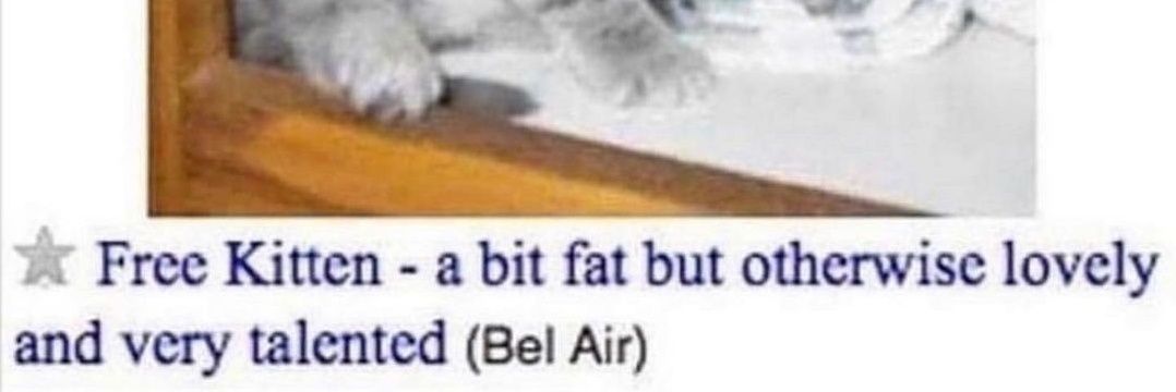 michael "silly sausage" soup (valen) banner