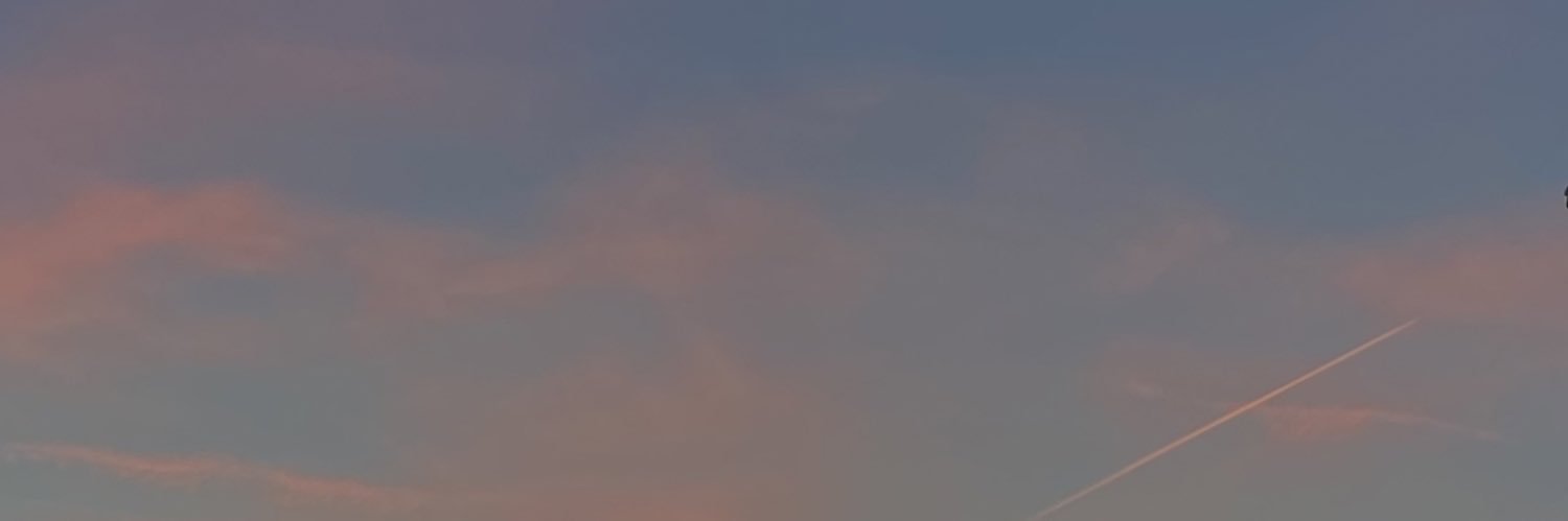 LisaAyrault's profile banner image