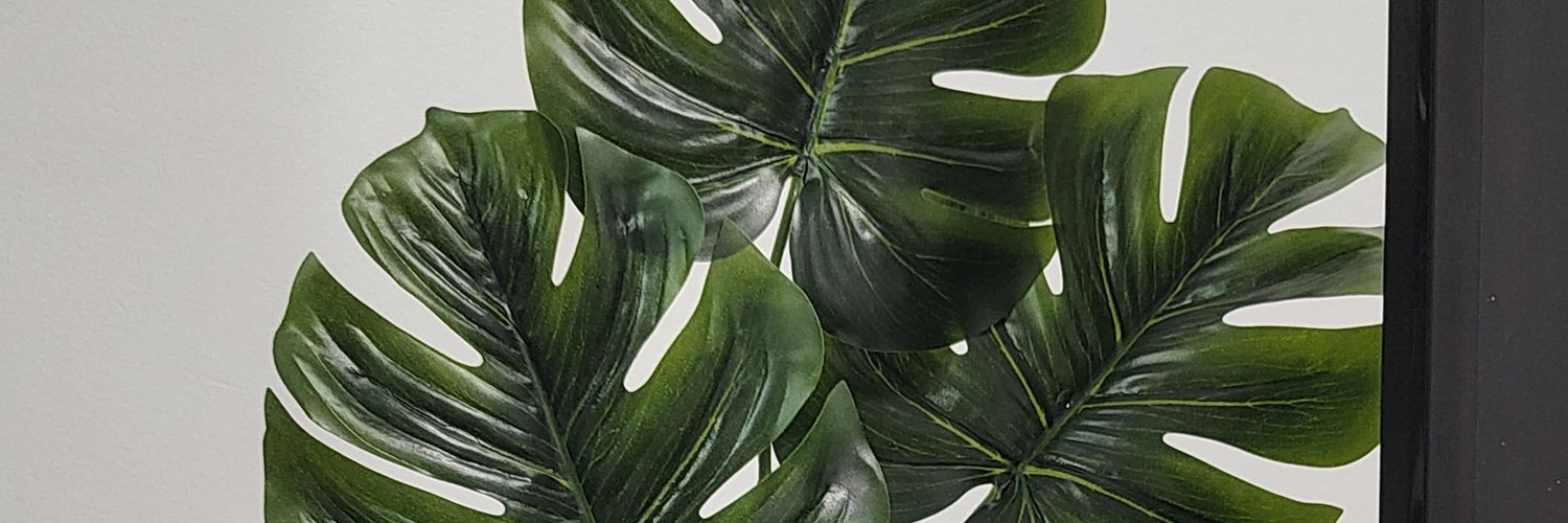 Wellensr's profile banner image