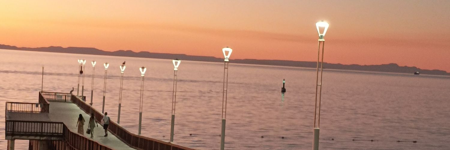 La 🦭 Solo la Verdad Nos hará Libres ⚖️🤜🇲🇽🤛 banner