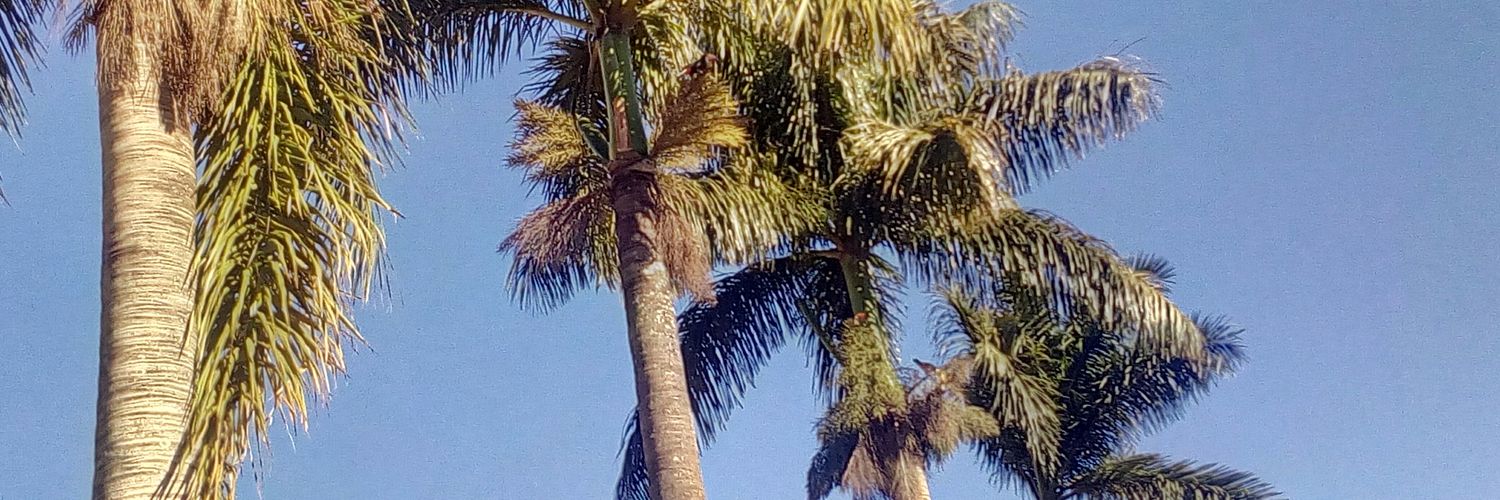_Queelcosta's profile banner image