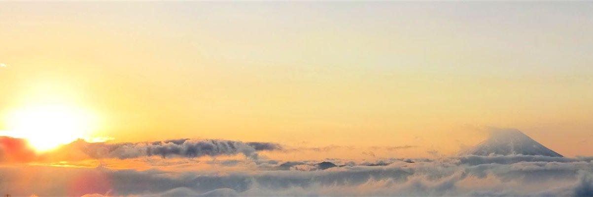 end2j2🌱🐏 banner