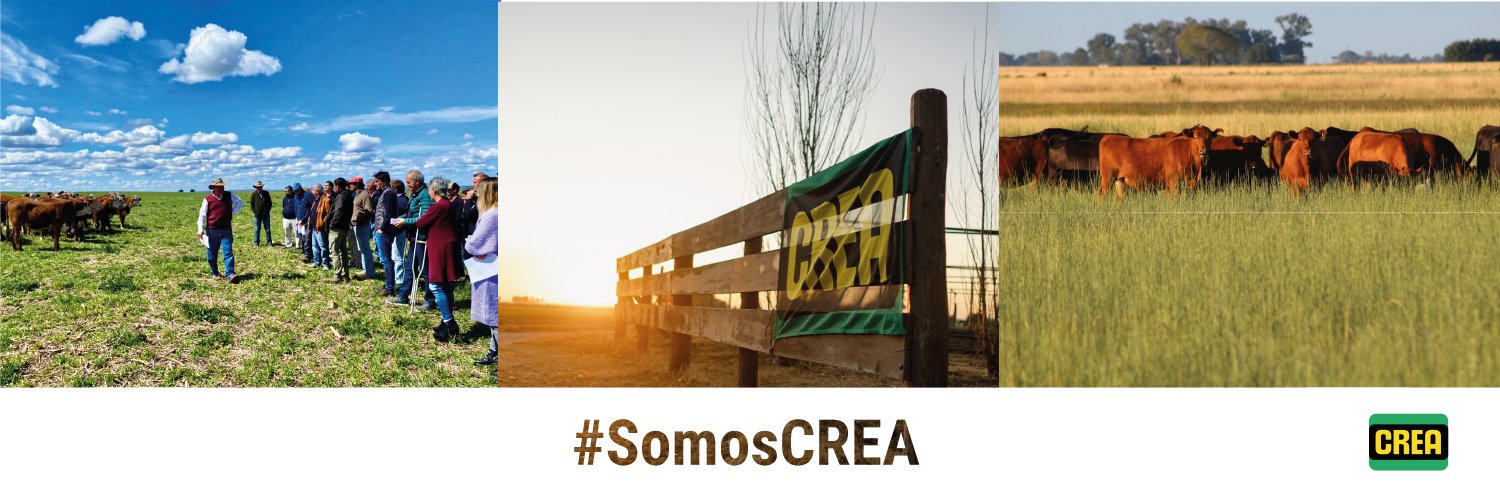 crea_arg's profile banner image