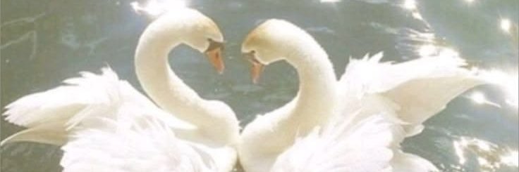 valentinagzg's profile banner image