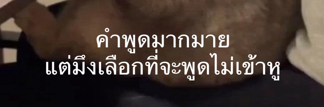 𝐰𝐞𝐝-𝐝𝐚𝐲ล์ 555 banner