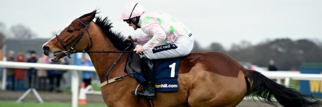 Tiny Tipster Racing banner