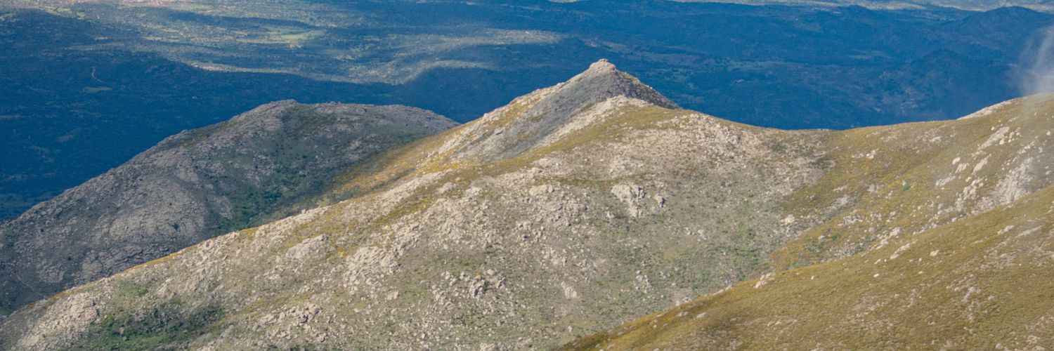 xalepos_'s profile banner image