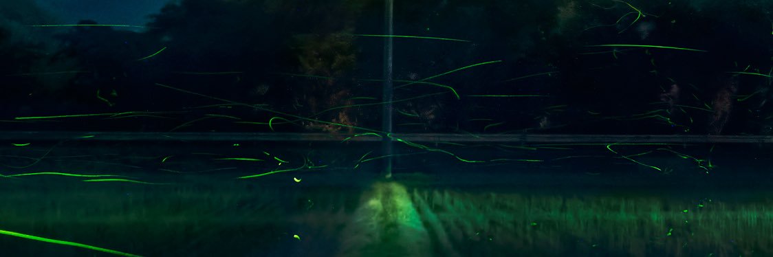 monkey_minato's profile banner image