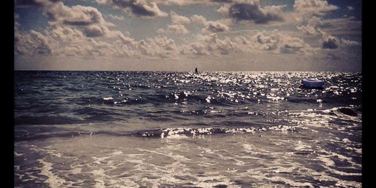 tnlee1223's profile banner image