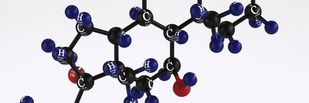 Sally Thornton banner