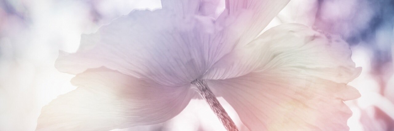 LauJauregui's profile banner image