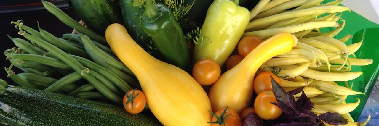 GVSUFarmMarket's profile banner image