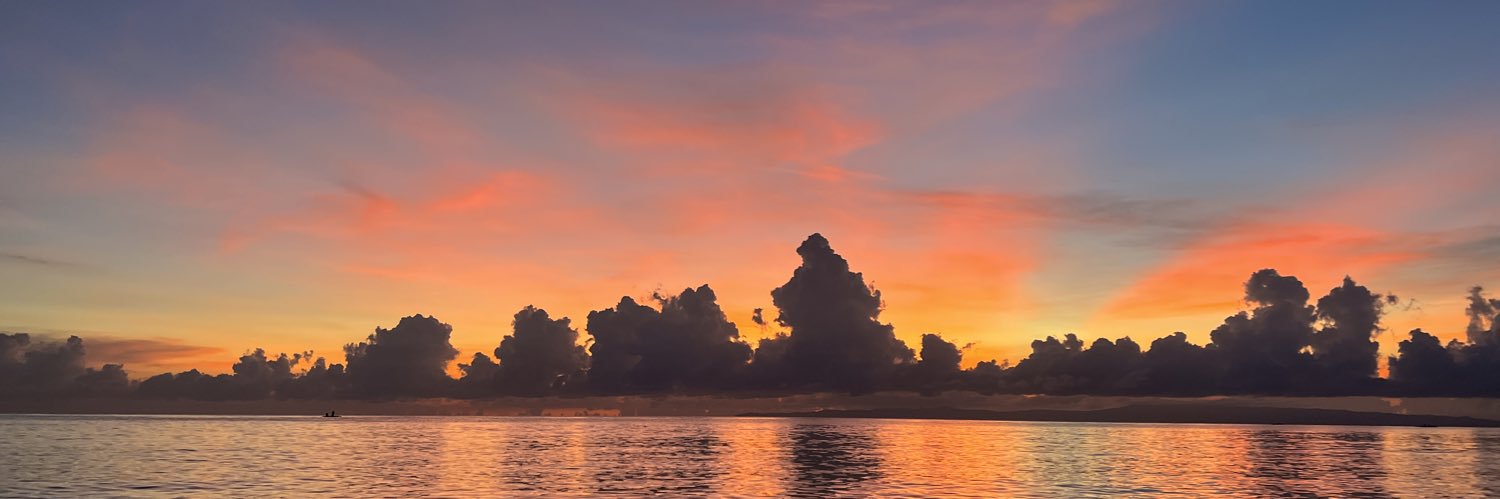roweseecheeks's profile banner image