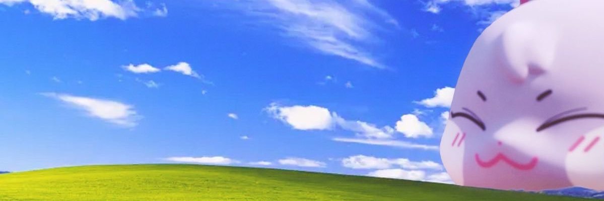 라임🌸 banner