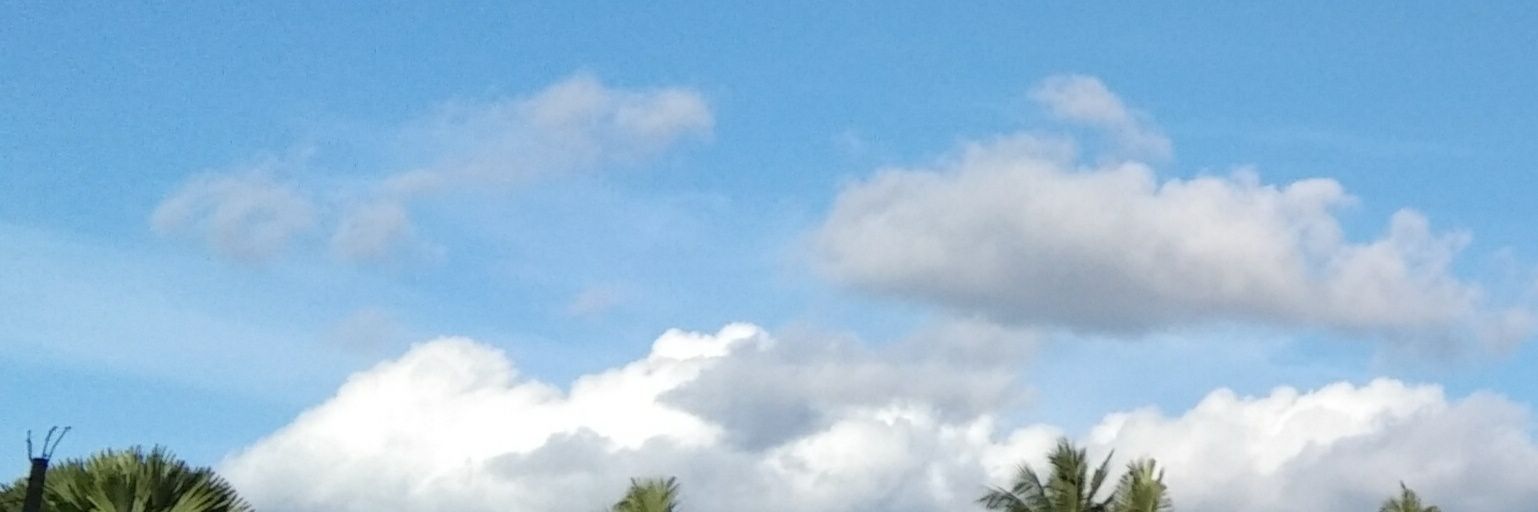 Goldenelf19's profile banner image