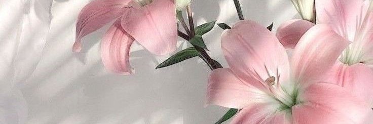 TillyToySweett's profile banner image