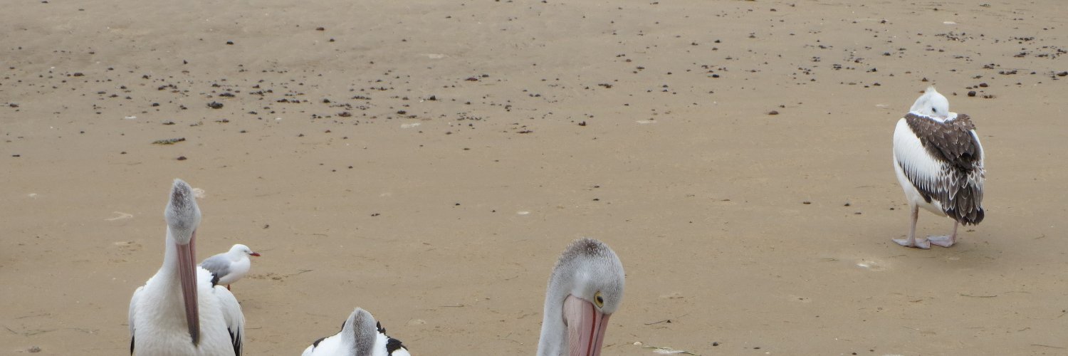 International Society for Evaluation Education banner