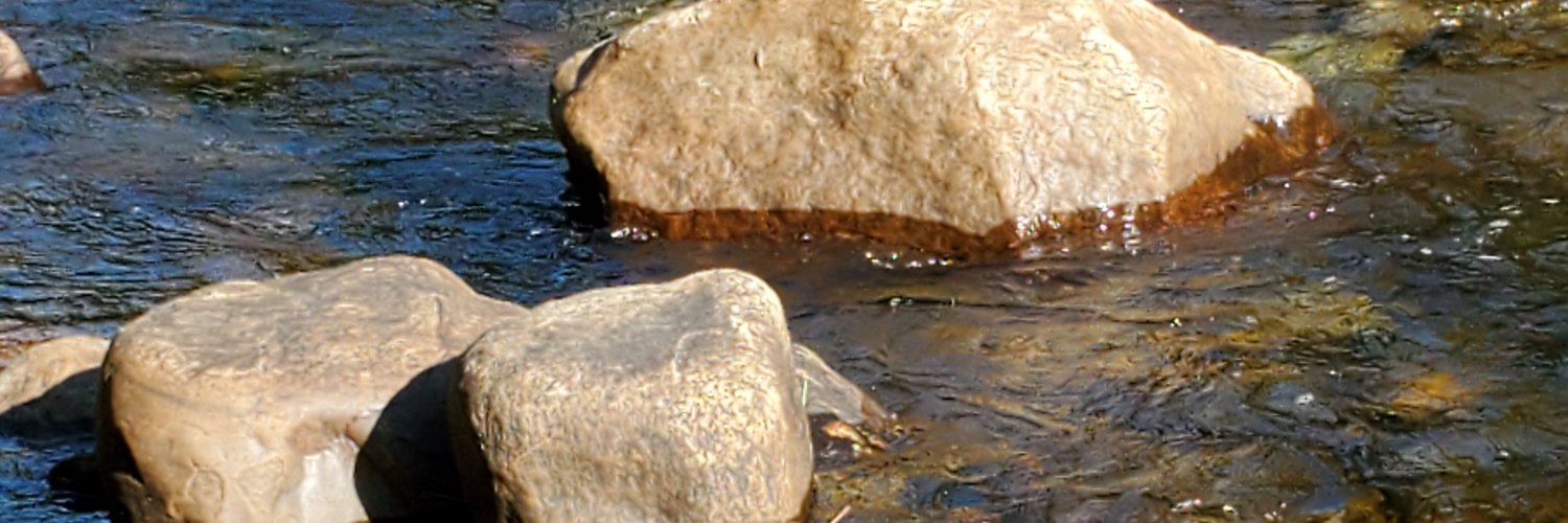 MeisterNer's profile banner image
