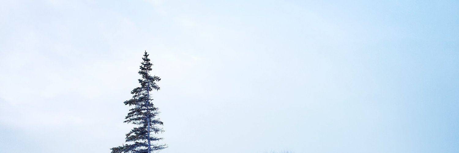 Anne J. Marie banner