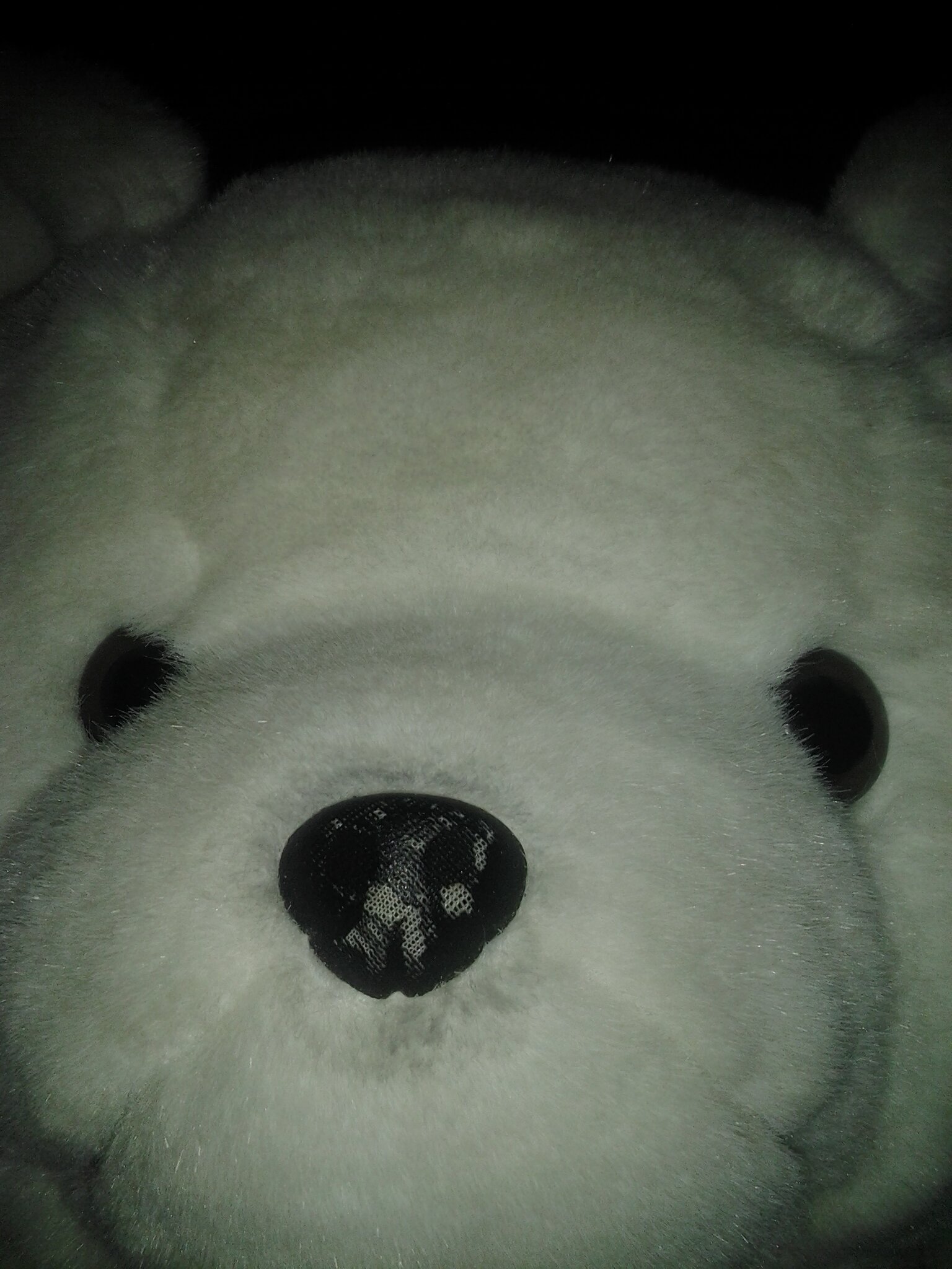 HughesTREE's profile banner image