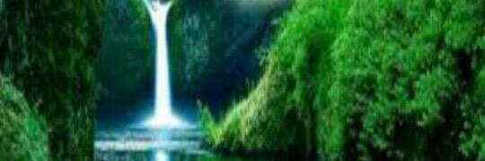 2002_melaf's profile banner image