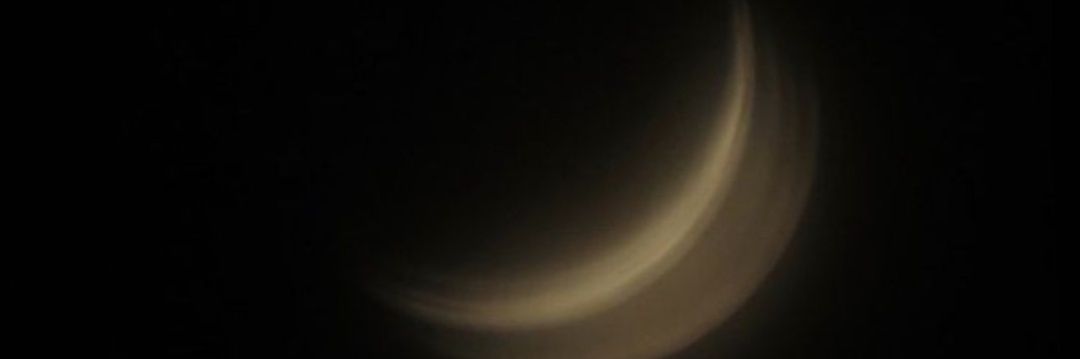 artemischange's profile banner image