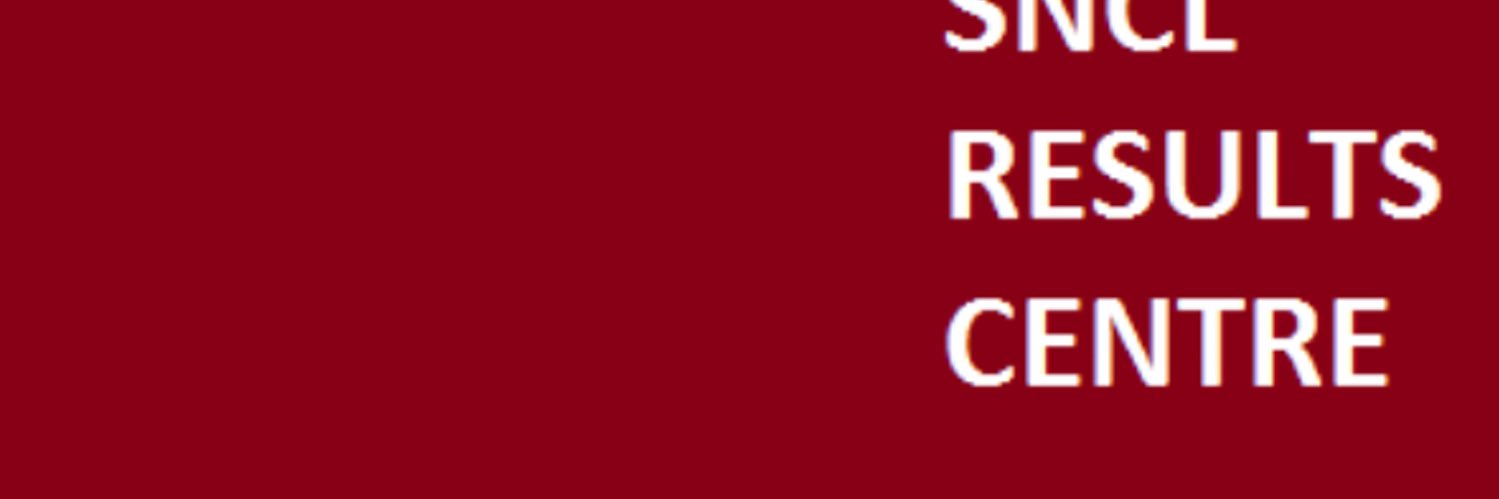 South Northants Cricket League banner