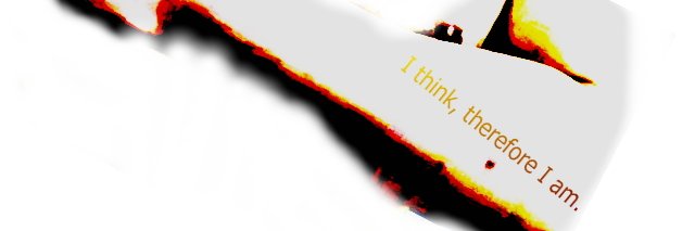terayu_note's profile banner image