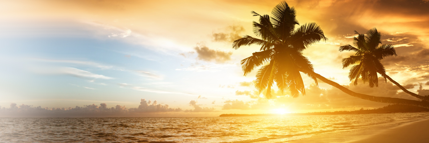 JESUS CHRIST SAVES banner