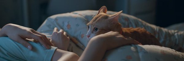 camerainyy Profile Banner