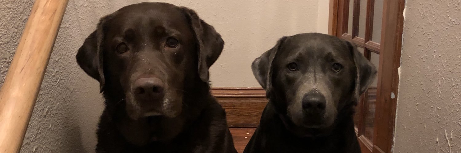 amsonnenberg's profile banner image
