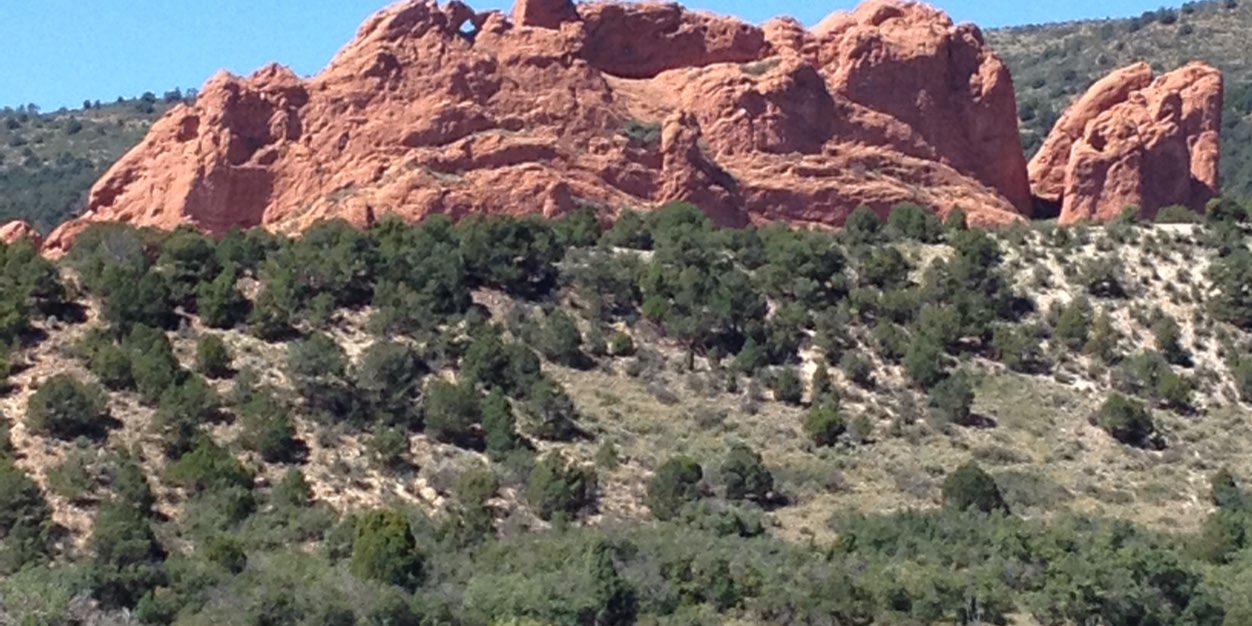 Kelly Arnberger banner