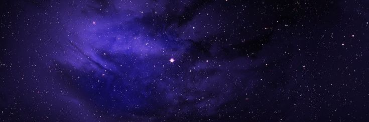 nocarolnocrime's profile banner image