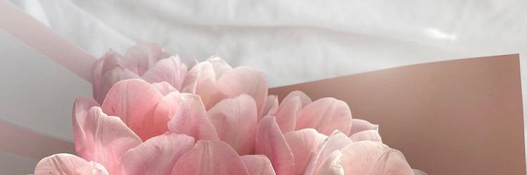 ♥︎♡︎𝑷𝒆𝒏♡︎♥︎ banner