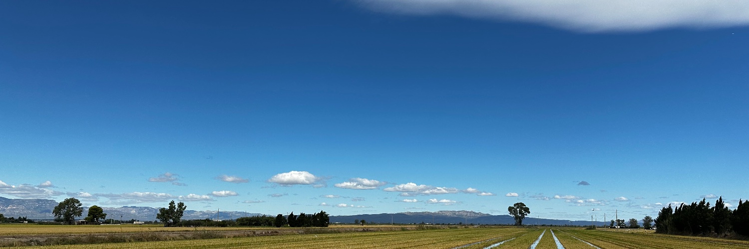 Oriol banner