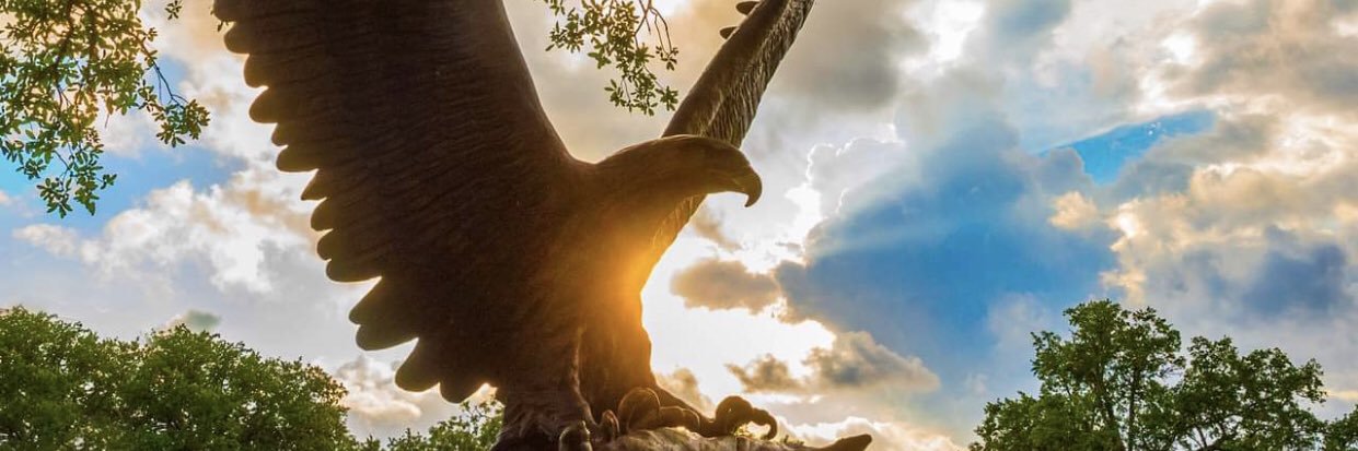 Maria Omeara 🇺🇸 banner