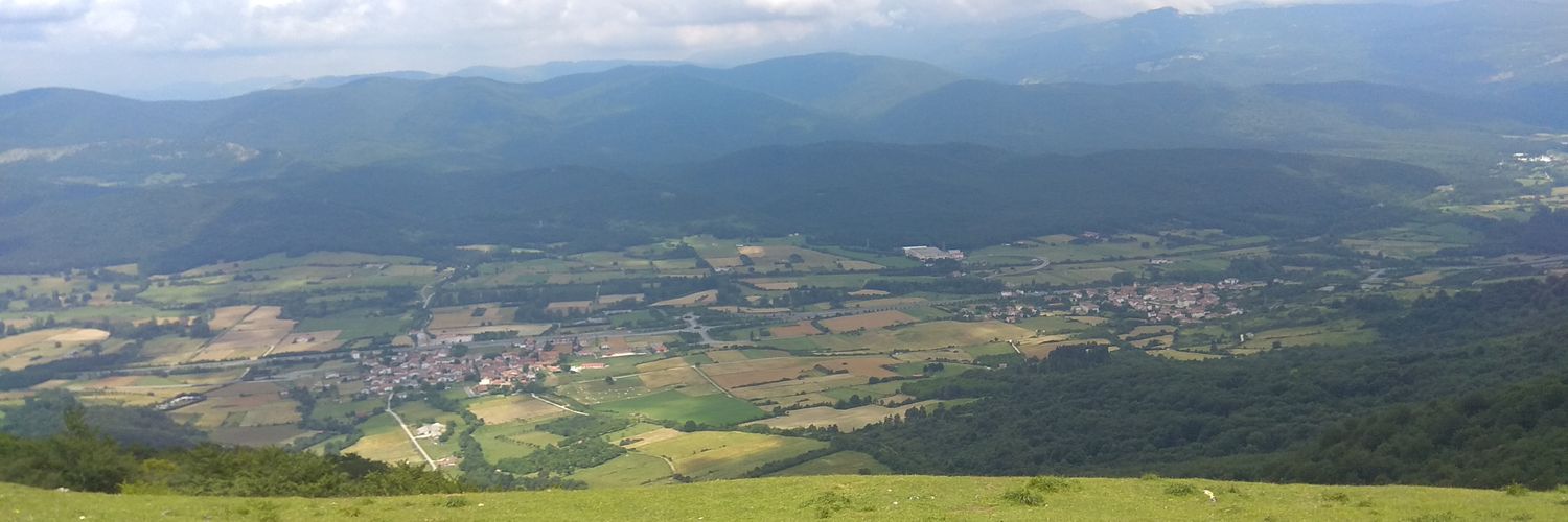 Daniel Benedí banner