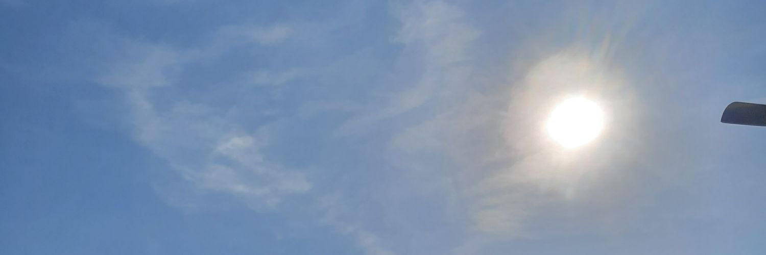 Makula densa banner