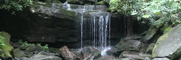 baileynelson92 Profile Banner