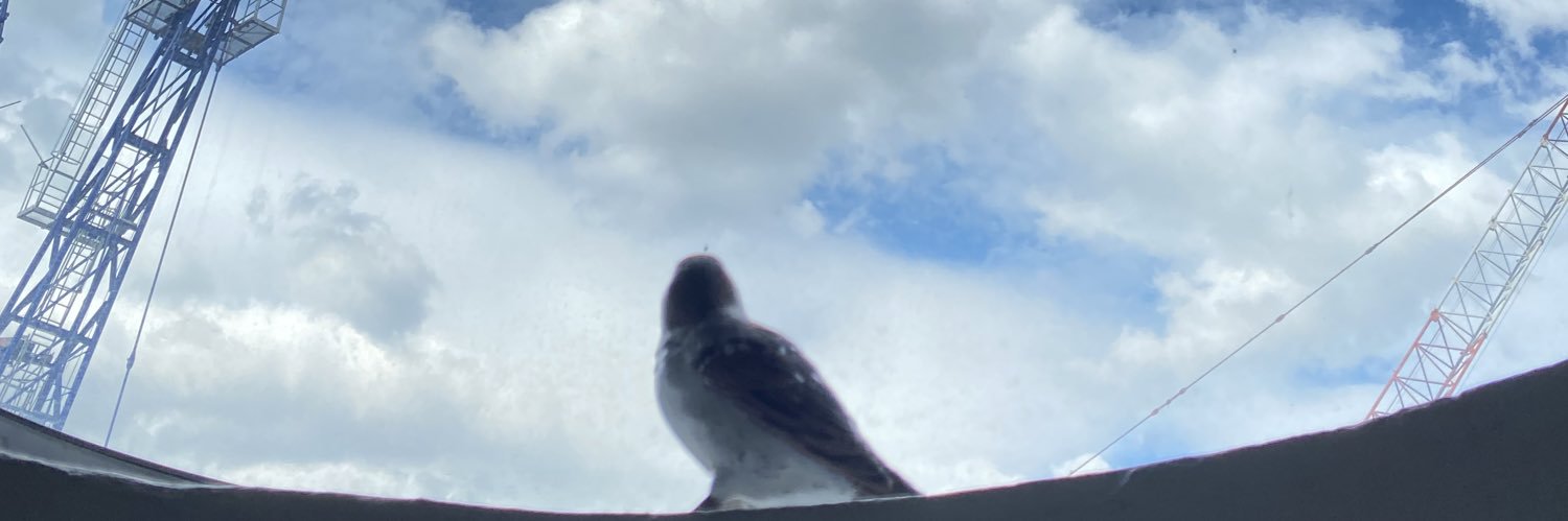 OwO banner