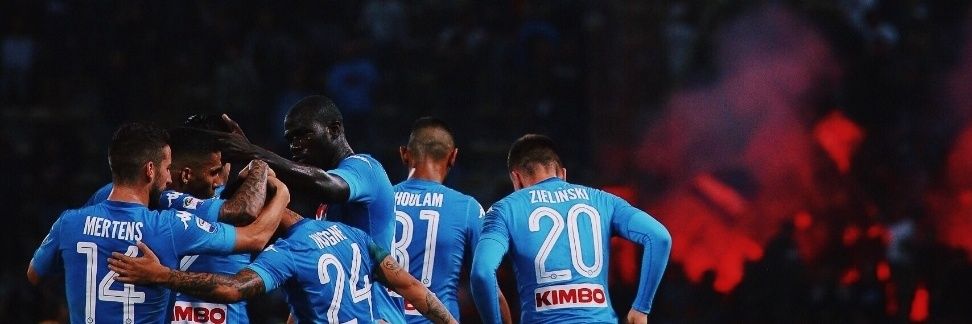 Sebastian🇵🇱🐻 banner