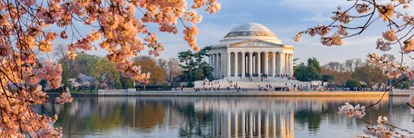 DCPedsID Profile Banner