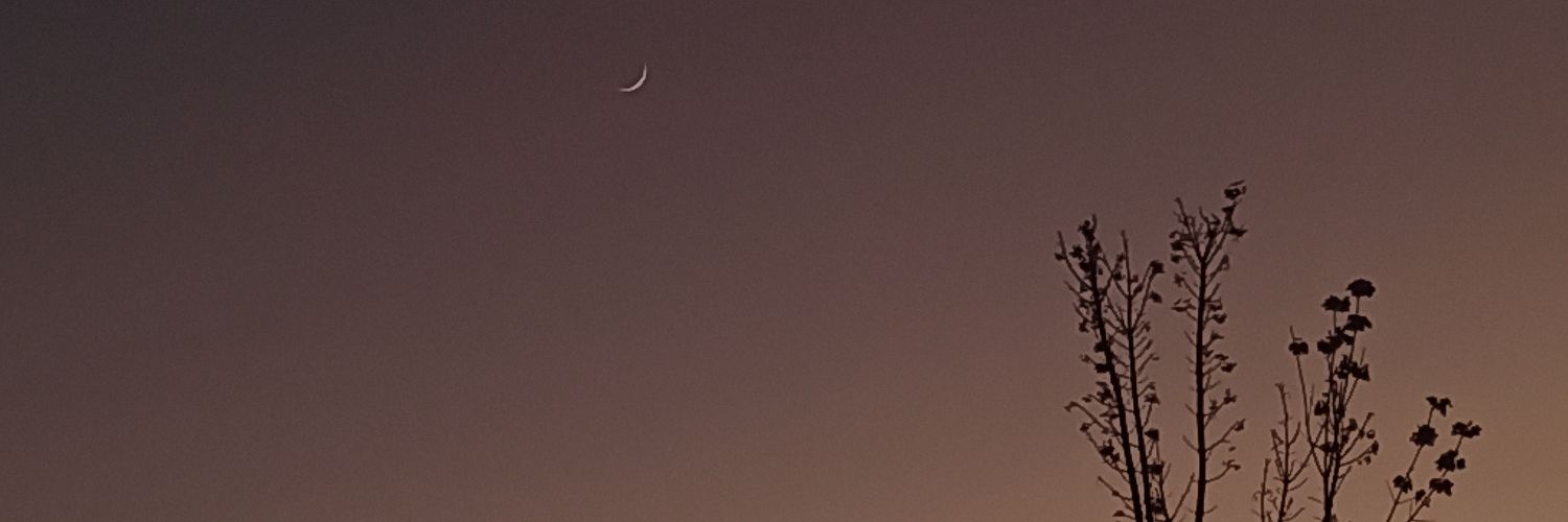 alaskafrido's profile banner image