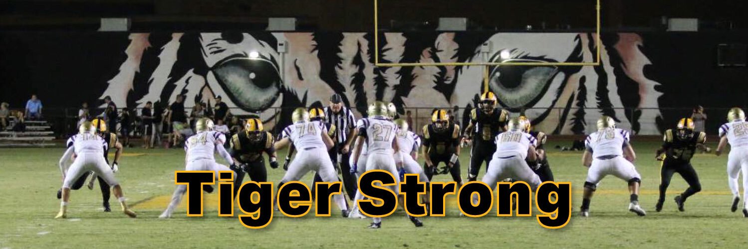 Gilbert Tiger Gold banner