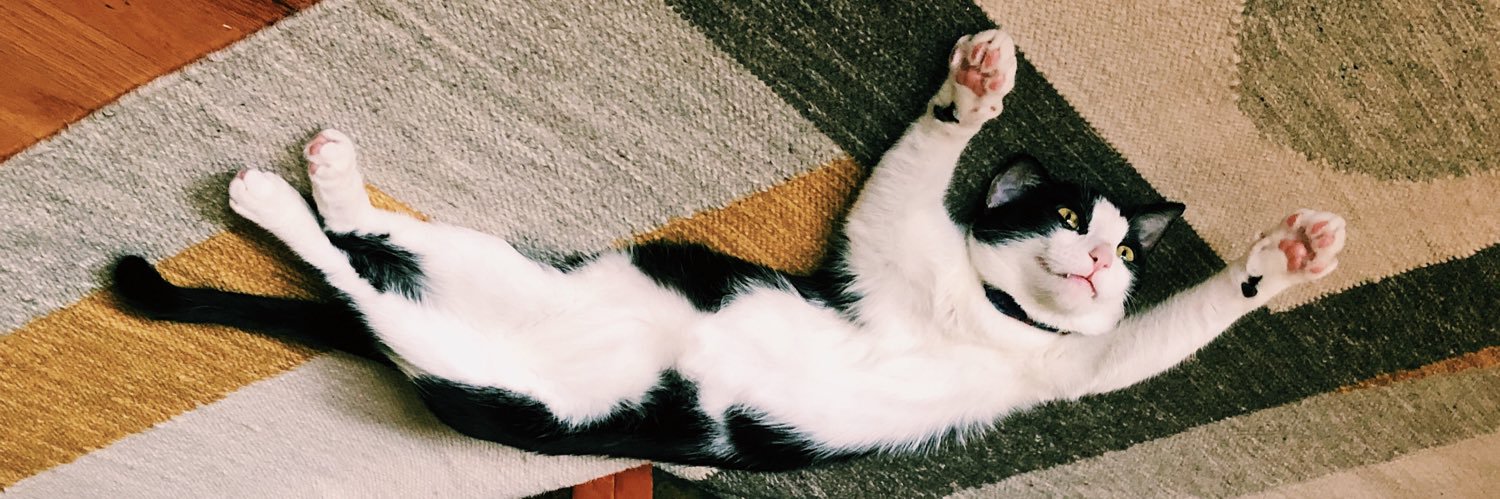 Chad Shomura @hellochadcat.bsky.social banner