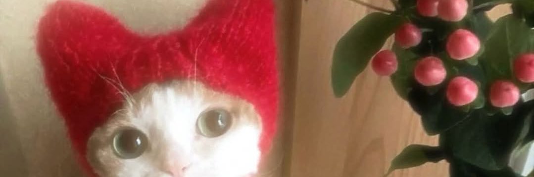 Sofía Wright. banner