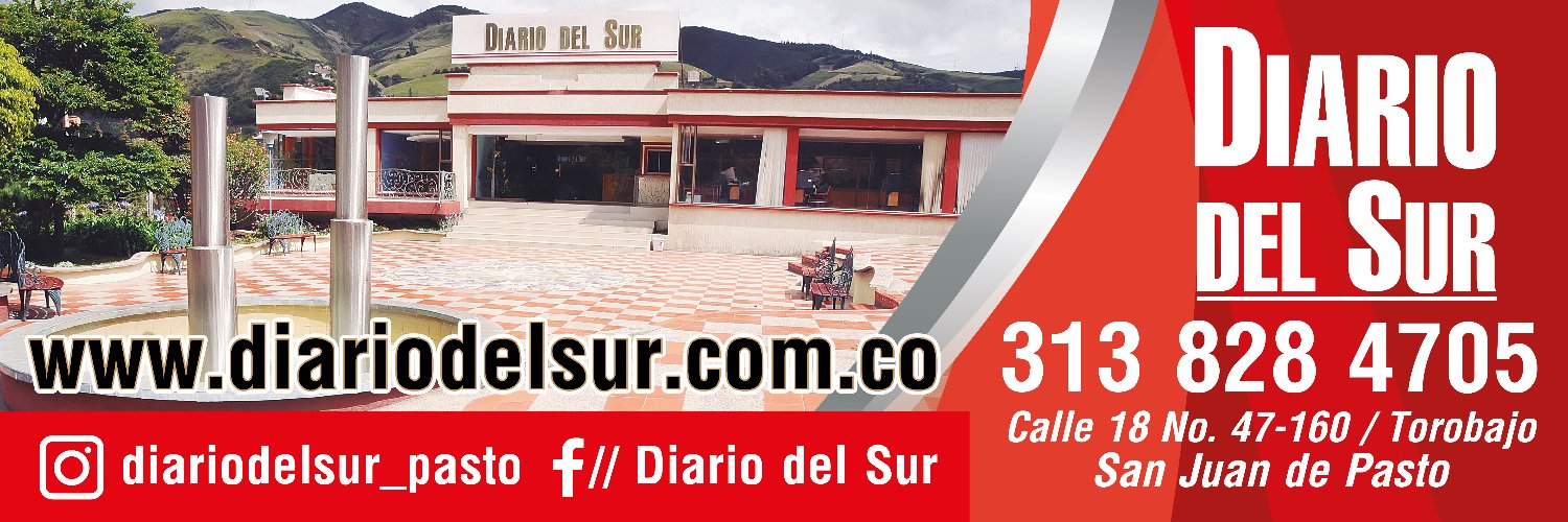 Diario del Sur banner
