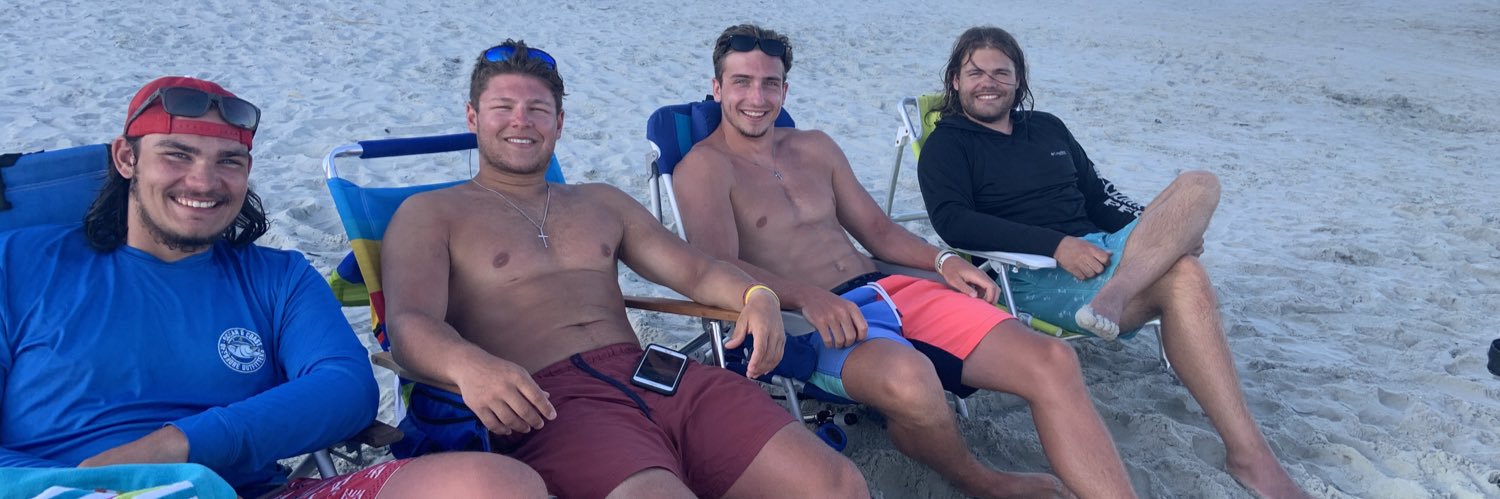 Hamilton Castle banner